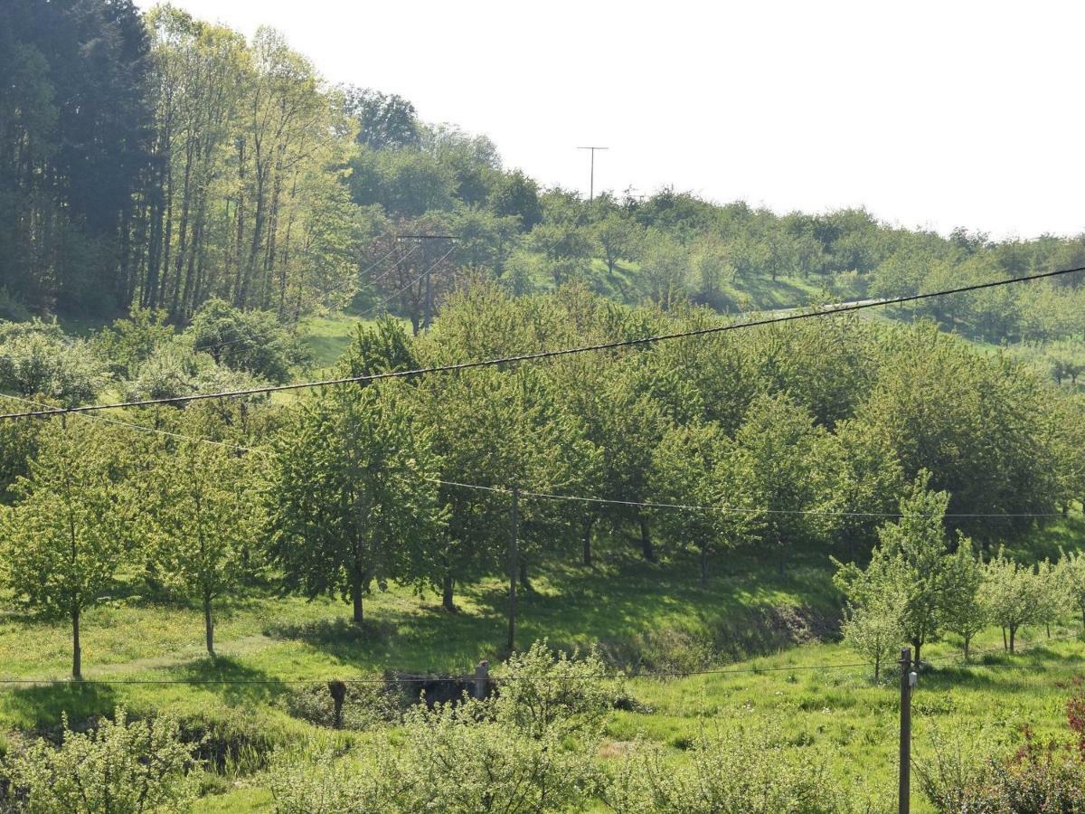 Ferienwohnung Wiedergruen Durbach Luaran gambar